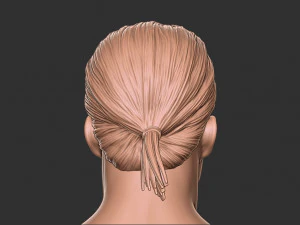 Hair 12 3D Print Model