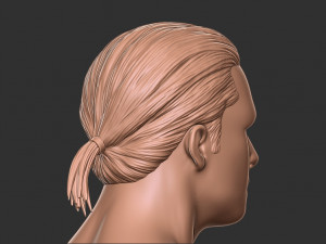 Hair 12 3Dプリントモデル