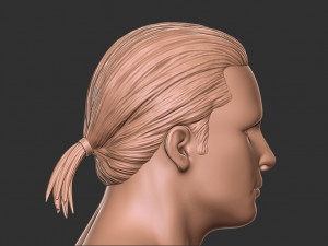 Hair 12 3Dプリントモデル