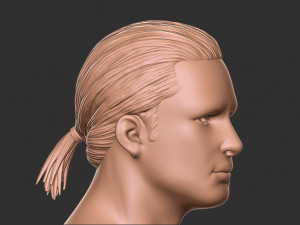 Hair 12 3Dプリントモデル