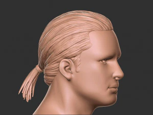 Hair 12 3D Print Model