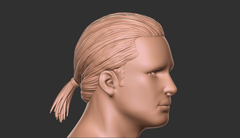 Hair 1 3D Print Model in Man 3DExport