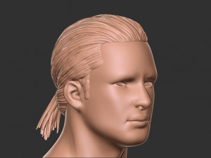 Hair 12 3Dプリントモデル