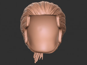 Hair 12 3Dプリントモデル