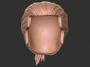 Hair 12 3D Print Model