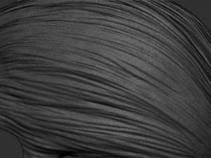 Hair 12 3Dプリントモデル