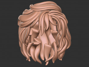 Hair 13 3D 打印模型