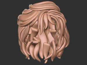 Hair 13 3D Print Model