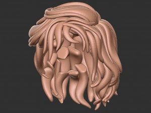 Hair 13 3D Print Model