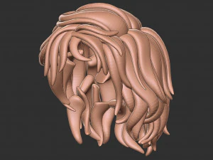 Hair 13 3D Print Model
