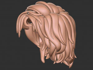 Hair 13 3D Print Model