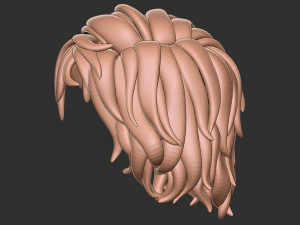 Hair 13 3D Print Model