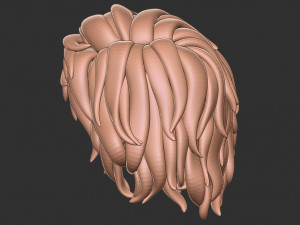 Hair 13 3D 打印模型
