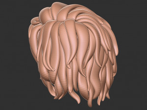 Hair 13 3D 打印模型