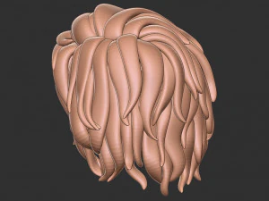 Hair 13 3D Print Model