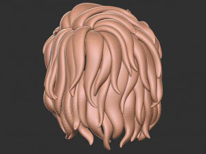Hair 13 3D Print Model