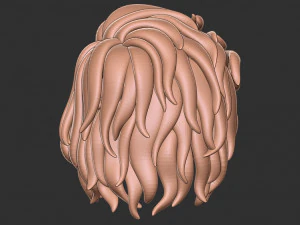 Hair 13 3D Print Model