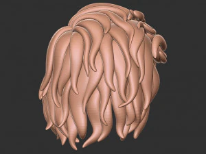 Hair 13 3D Print Model