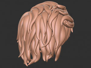 Hair 13 3D Print Model