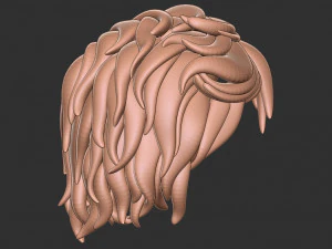 Hair 13 3D Print Model