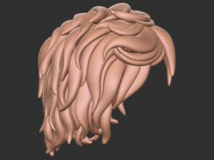 Hair 13 3D Print Model