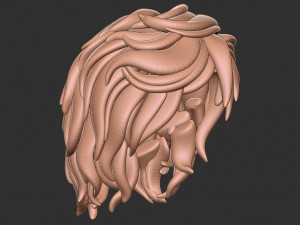 Hair 13 3D 打印模型