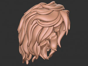 Hair 13 3D Print Model