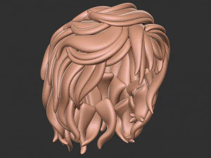 Hair 13 3D Print Model