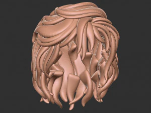 Hair 13 3D Print Model