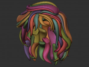 Hair 13 3D 打印模型