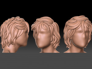 Hair 13 3D 打印模型