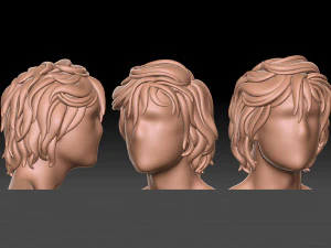 髪13 3Dプリントモデル