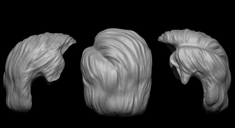 Hair 14 3D Print Model .c4d .max .obj .3ds .fbx .stl .blend 