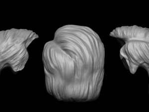 Hair 14 3D Print Model