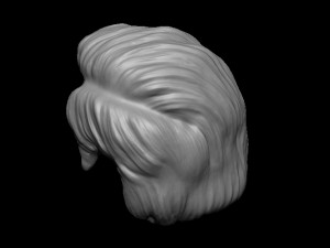 Hair 14 3D 프린트 모델