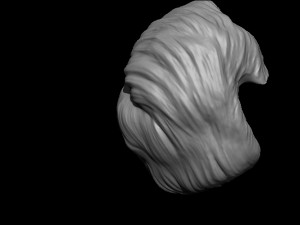 Hair 14 3D 프린트 모델