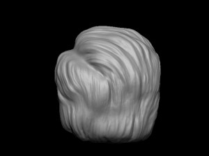 Hair 14 3D 프린트 모델