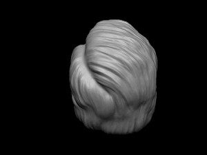 Hair 14 3D 프린트 모델
