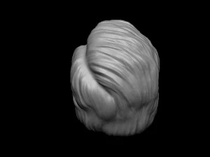 Hair 14 3D Print Model