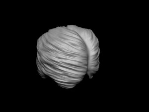 Hair 14 3D 프린트 모델