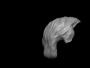 Hair 14 3D 프린트 모델