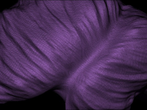 Hair 14 3D 프린트 모델