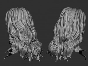 Hair 15 Model do druku 3D