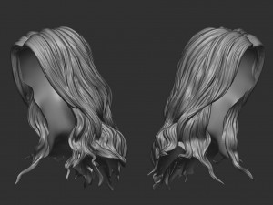 Hair 15 Model do druku 3D