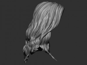 Hair 15 Model do druku 3D