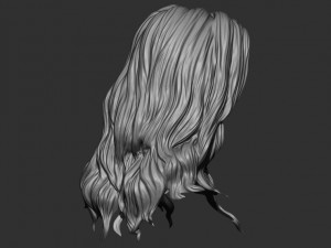 Hair 15 Model do druku 3D