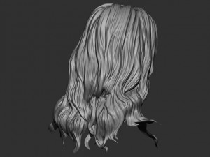 Hair 15 Model do druku 3D