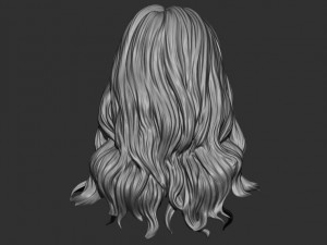 Hair 15 Model do druku 3D