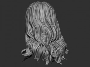 Hair 15 Model do druku 3D