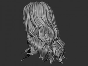 Hair 15 Model do druku 3D